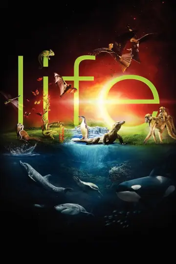 Plakat к сериалу "Życie" #1455292
