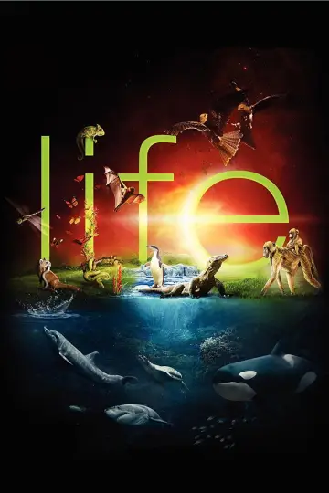 Plakat к сериалу "Życie" #1455293