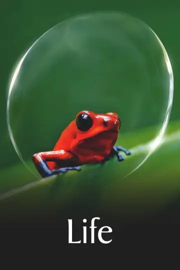 Plakat к сериалу "Życie" #1455298
