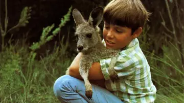 Zasłona к сериалу "Skippy the Bush Kangaroo" #1441006