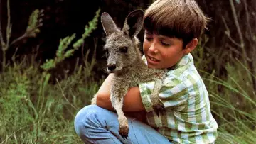 Zasłona к сериалу "Skippy the Bush Kangaroo" #1441007