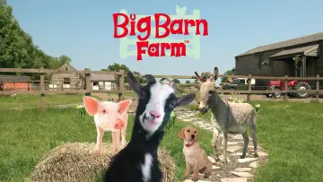 Zasłona do serialu "Big Barn Farm" #1809020