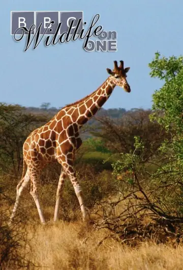 Wildlife on One (1977–2005)