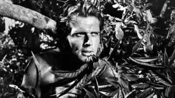 Zasłona к сериалу "Tarzan" #1345679