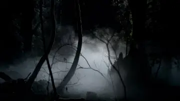 Zasłona к сериалу "Pamiętniki wampirów" #1240032