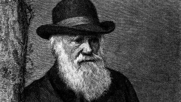 Zasłona do serialu "Geniusz Karola Darwina" #1830379