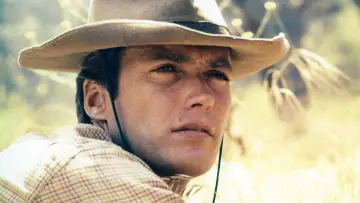Zasłona к сериалу "Rawhide" #1314266