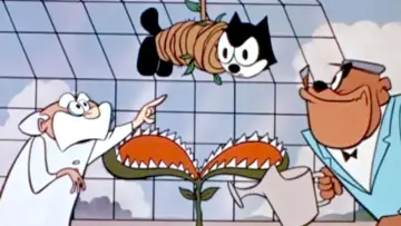 Zasłona к сериалу "Felix the Cat" #1463147