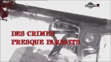 Des crimes presque parfaits plakat