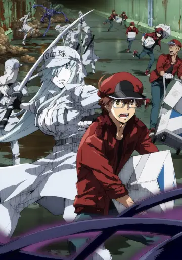 Plakat do serialu "Hataraku Saibou Black" #1670582