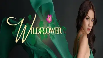 Zasłona к сериалу "Wildflower" #1425625