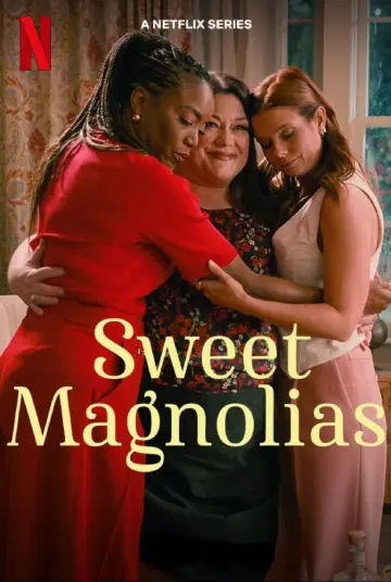Plakat к сериалу "Słodkie Magnolie" #1382951