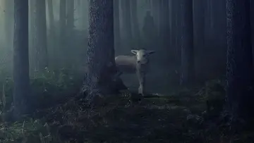 Zasłona к сериалу "Clarice" #1469048