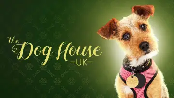Zasłona do serialu "The Dog House" #1669850