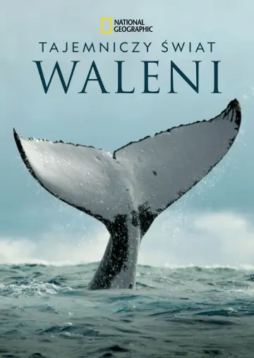 Tajemniczy świat waleni plakat
