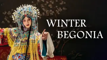 Zasłona к сериалу "鬓边不是海棠红" #1432871