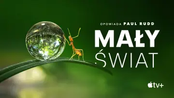 Zasłona к сериалу "Mały świat" #1505895