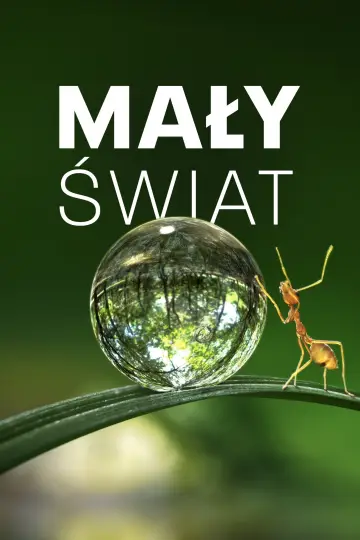 Mały świat (2020)