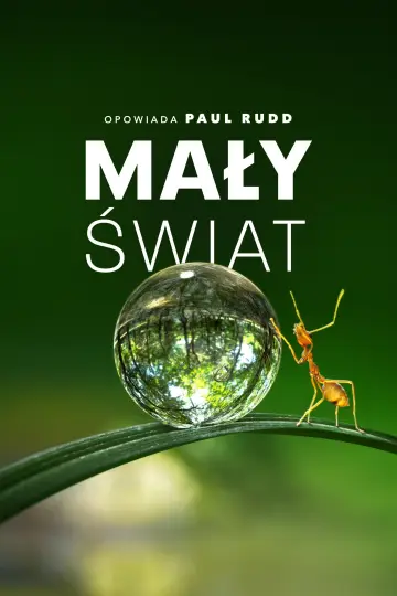 Plakat к сериалу "Mały świat" #1505920