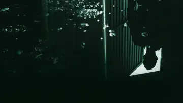 Zasłona к сериалу "Psychopata - znaki szczególne" #1227476