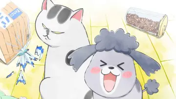 Zasłona do serialu "Inu to Neko Docchi mo Katteru to Mainichi Tanoshii" #1752144