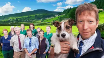 Zasłona к сериалу "The Yorkshire Vet" #1444115