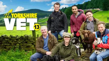Zasłona к сериалу "The Yorkshire Vet" #1444116