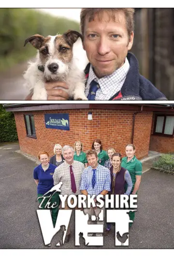 Plakat к сериалу "The Yorkshire Vet" #1444120