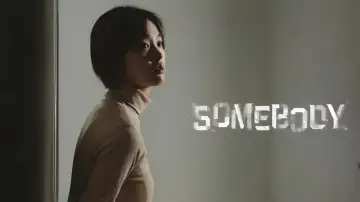 Zasłona do serialu "Somebody" #1845028