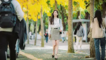 Zasłona do serialu "Pod jednym dachem z Gumiho" #1795454