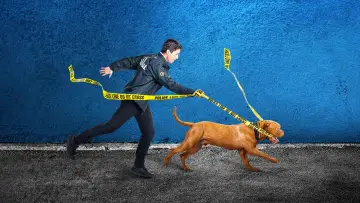 Zasłona к сериалу "Turner & Hooch" #1448007