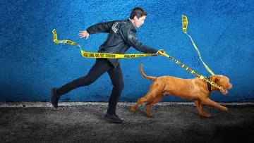 Zasłona к сериалу "Turner & Hooch" #1448008