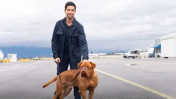 Zasłona к сериалу "Turner & Hooch" #1448009