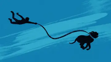 Zasłona к сериалу "Turner & Hooch" #1448010