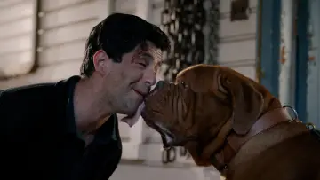 Zasłona do serialu "Turner & Hooch" #1661355