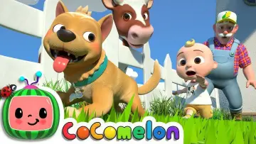 Zasłona do serialu "Cocomelon" #1549444