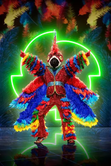 Plakat do serialu "The Masked Singer" #1794827