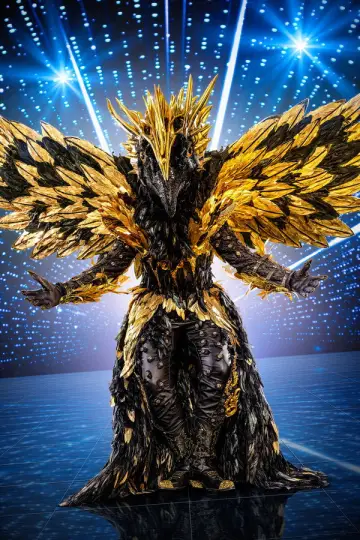 Plakat do serialu "The Masked Singer" #1794833