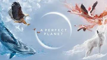 Zasłona do serialu "Planeta doskonała" #1605211