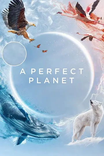 Plakat do serialu "Planeta doskonała" #1605224