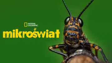 Zasłona do serialu "Mikroświat" #1487233