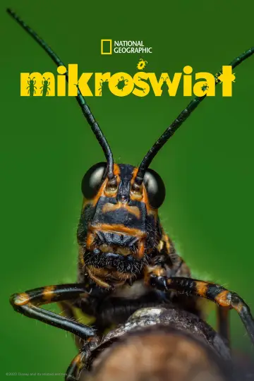 Mikroświat (2024)