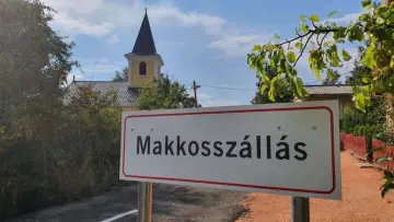 Zasłona do serialu "Matka chrzestna" #1593612