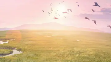 Zasłona к сериалу "Planeta Ziemia III" #1485038