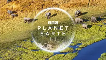 Zasłona к сериалу "Planeta Ziemia III" #1485042