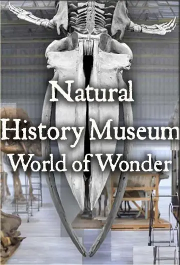 Plakat do serialu "Muzeum Historii Naturalnej: Świat cudów" #1607677