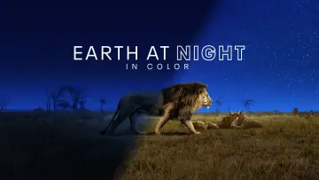 Zasłona к сериалу "Ziemia w nocnych barwach" #1417607