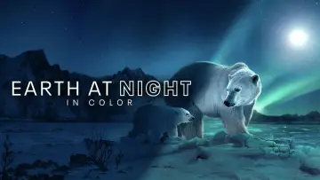 Zasłona к сериалу "Ziemia w nocnych barwach" #1417613