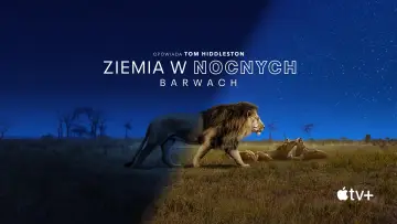 Zasłona к сериалу "Ziemia w nocnych barwach" #1417620