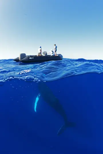 Plakat do serialu "OceanXplorers" #1562689
